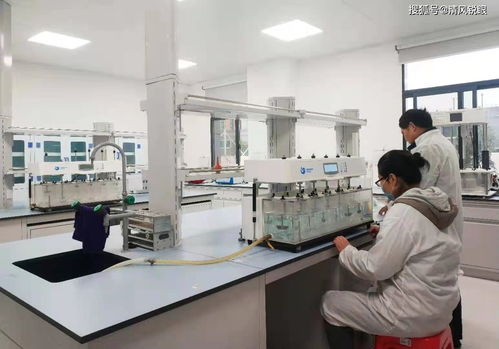 喜訊！真奧研究院新鮮螺旋藻功能性食品成功中試，引領(lǐng)醫(yī)學(xué)研究與試驗(yàn)發(fā)展新方向