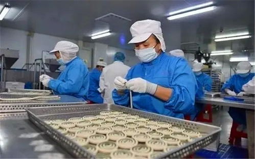 在小縣城投入20萬(wàn)辦廠 聚焦寵物食品，掘金藍(lán)海市場(chǎng)的快車(chē)道